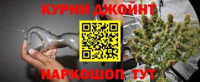 прущие грибы Новодвинск