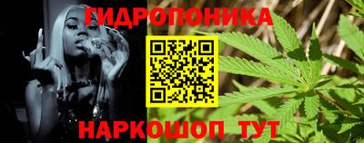 прущие грибы Новодвинск