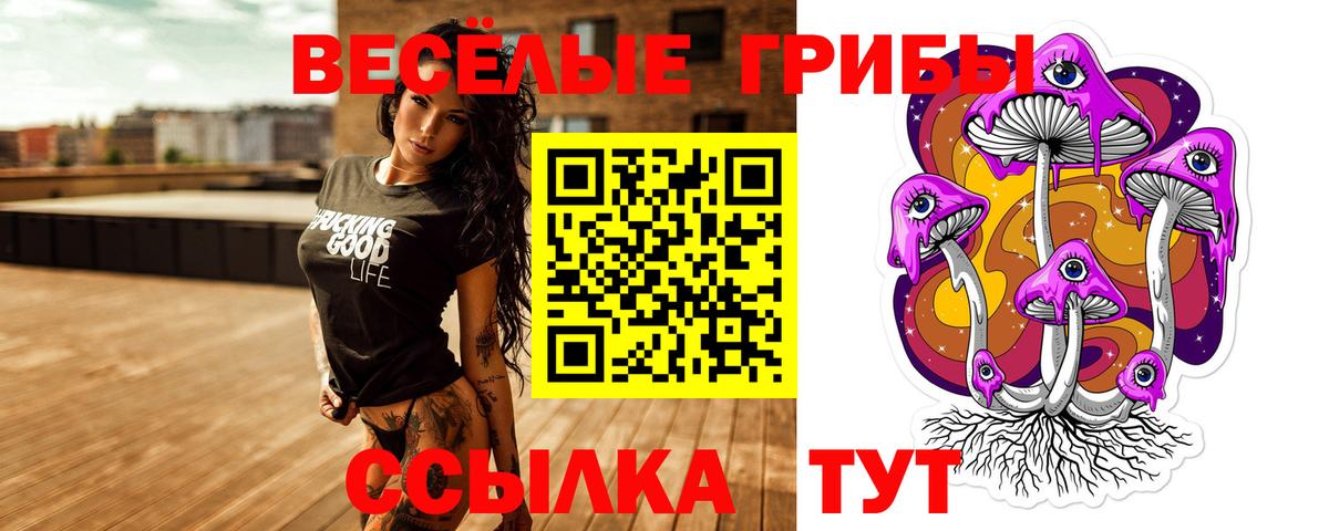 Галлюциногенные грибы GOLDEN TEACHER  Вход с VPN  Торжок  Галлюциногенные грибы ЛСД 
